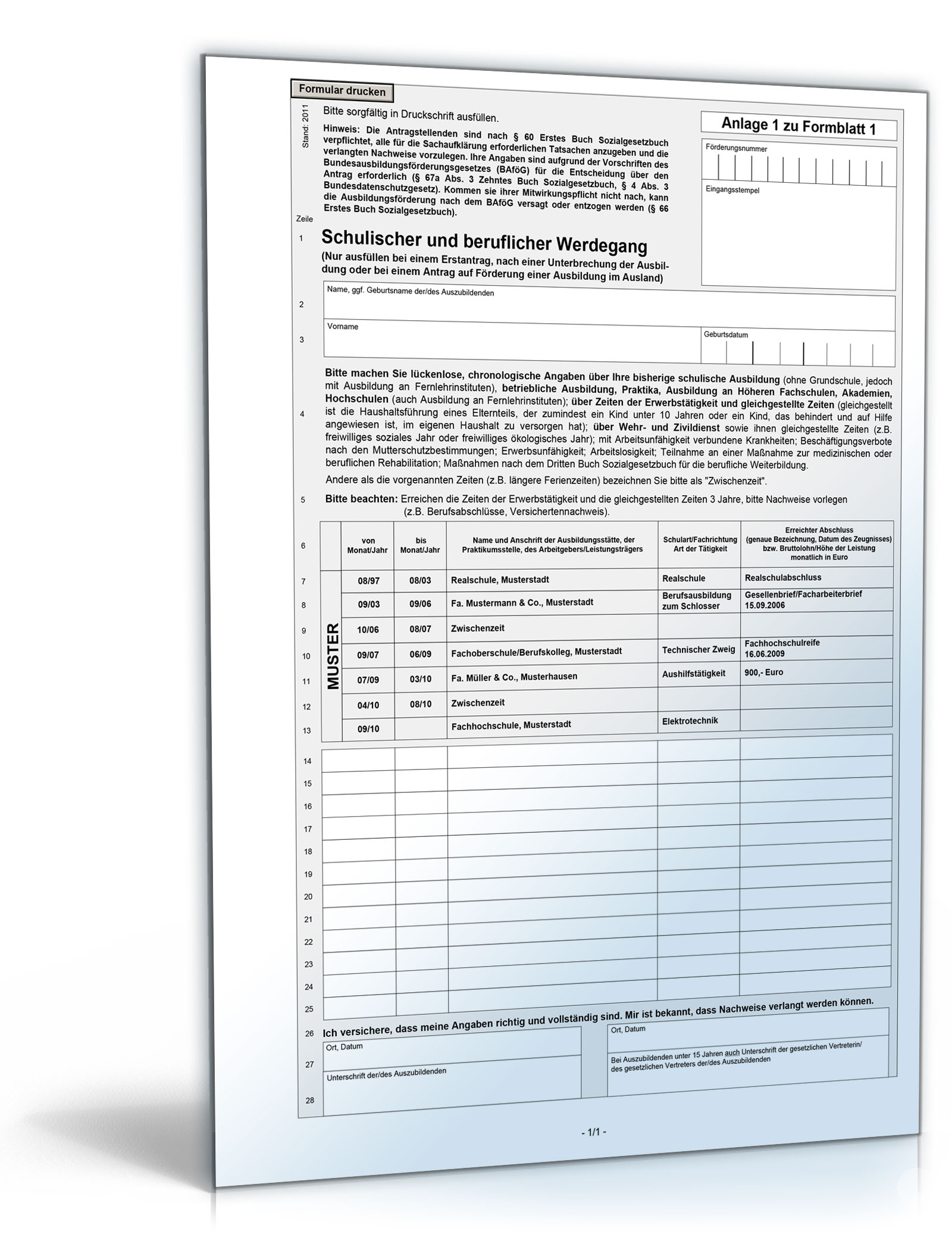 Schulischer und beruflicher Werdegang Dokument zum Download