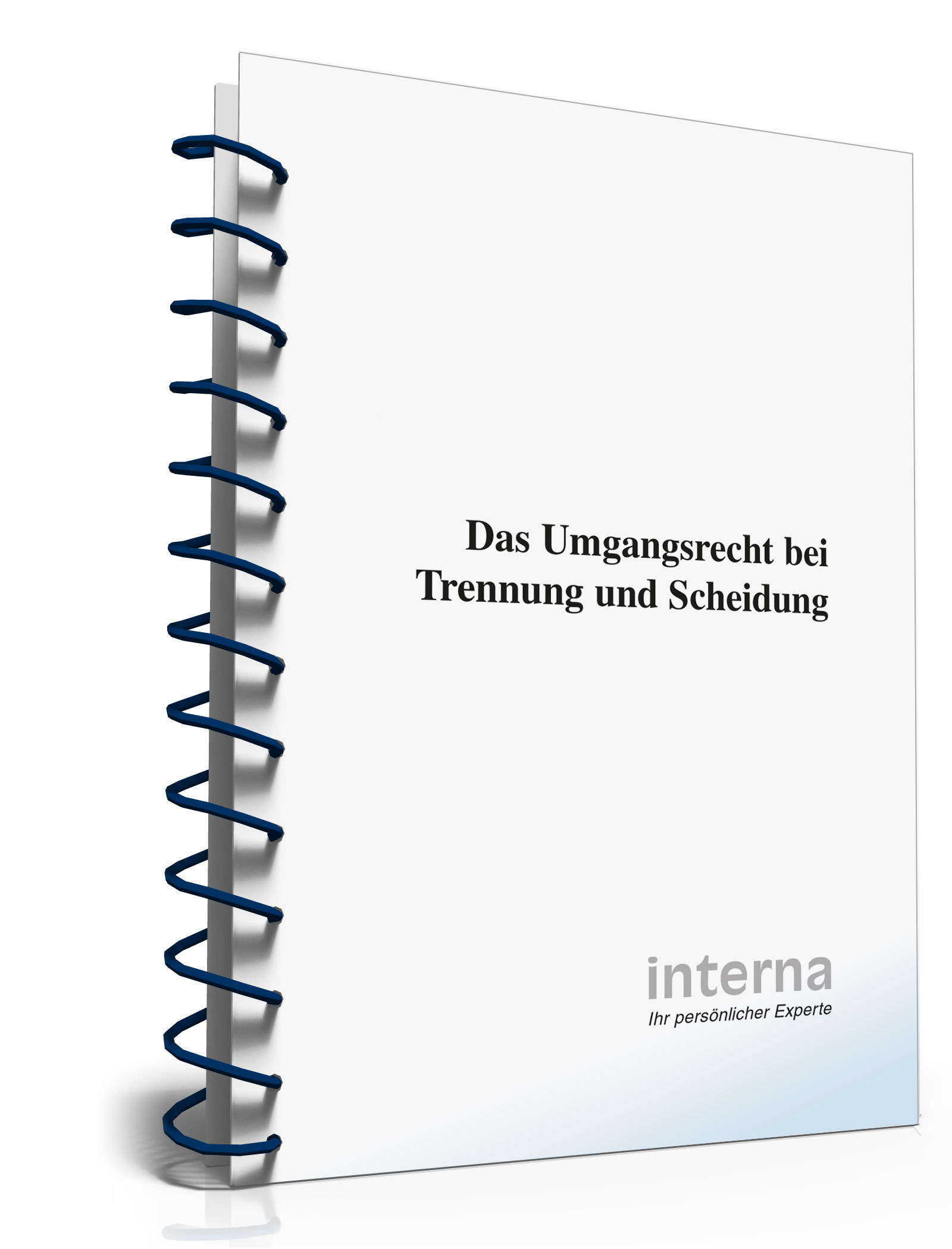 Ratgeber: Das Umgangsrecht bei Trennung und Scheidung Dokument zum Download